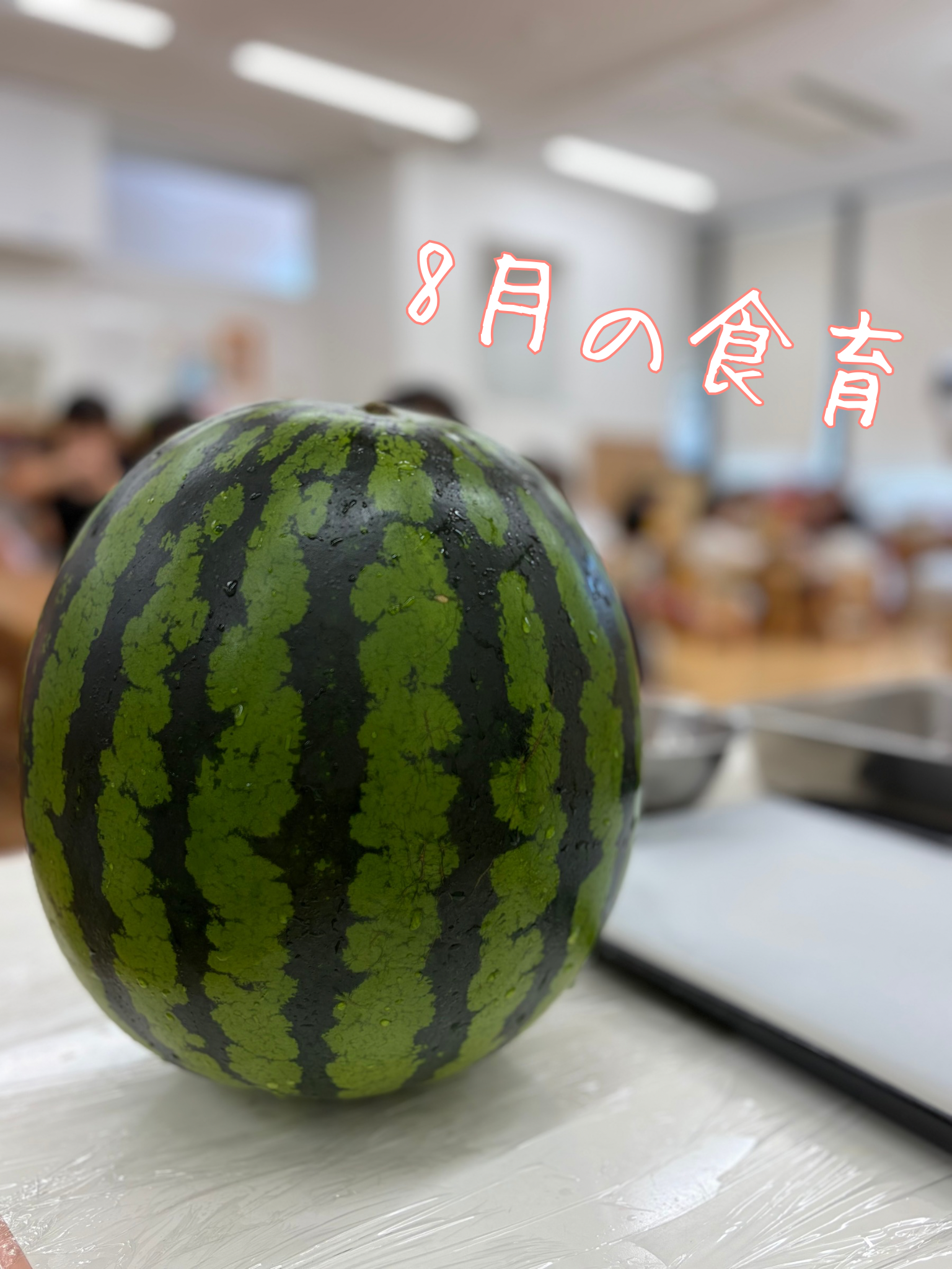 2026年８月園だより